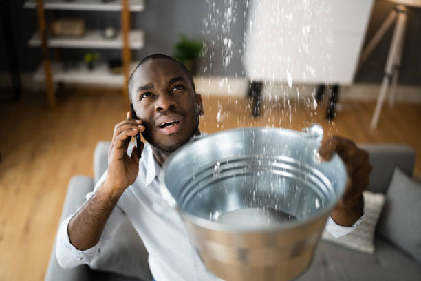 Best Basement water damage restoration  in Ottawa Hills, OH
