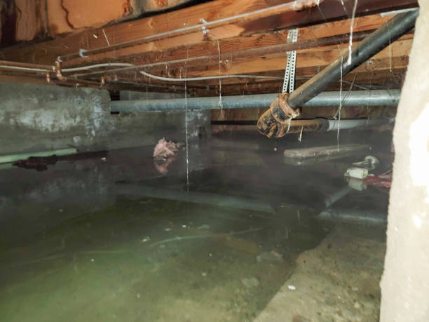 Best Fire Damage Restoration  in Ottawa Hills, OH