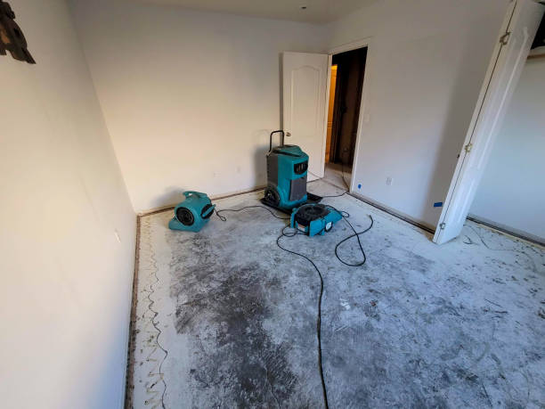 Best Water damage cleanup near me  in Ottawa Hills, OH
