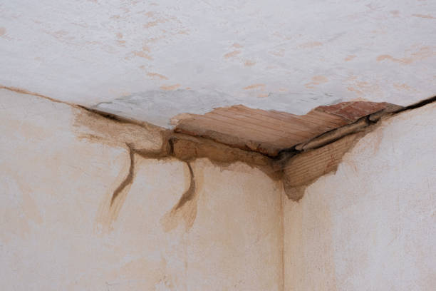 Best Basement water damage restoration  in Ottawa Hills, OH