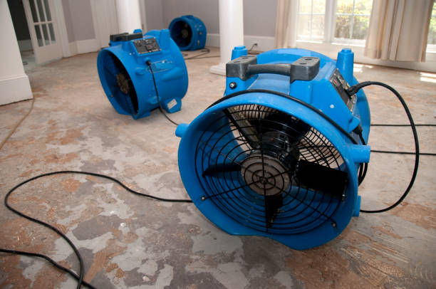 Best 24-hour water damage restoration  in Ottawa Hills, OH