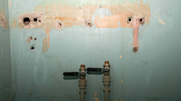 Best Ceiling water damage repair  in Ottawa Hills, OH