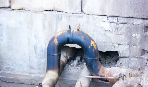 Best Professional water damage repair  in Ottawa Hills, OH