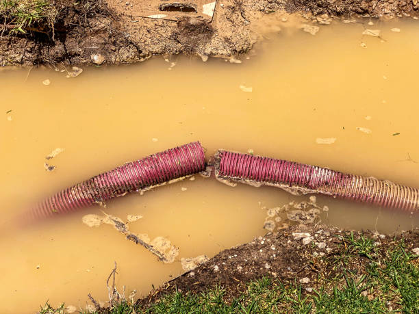 Best Water damage restoration near me  in Ottawa Hills, OH