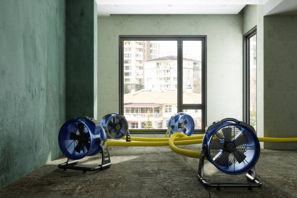 Best Commercial water damage restoration  in Ottawa Hills, OH